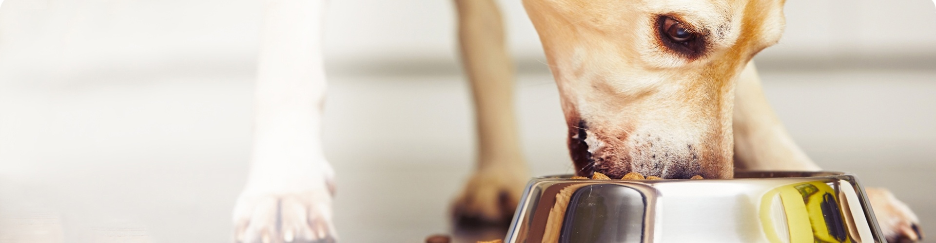 Pet Food Bags